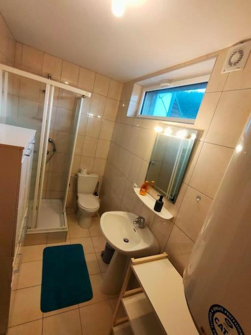 Industriel F3 Appartement Thann Eksteriør billede